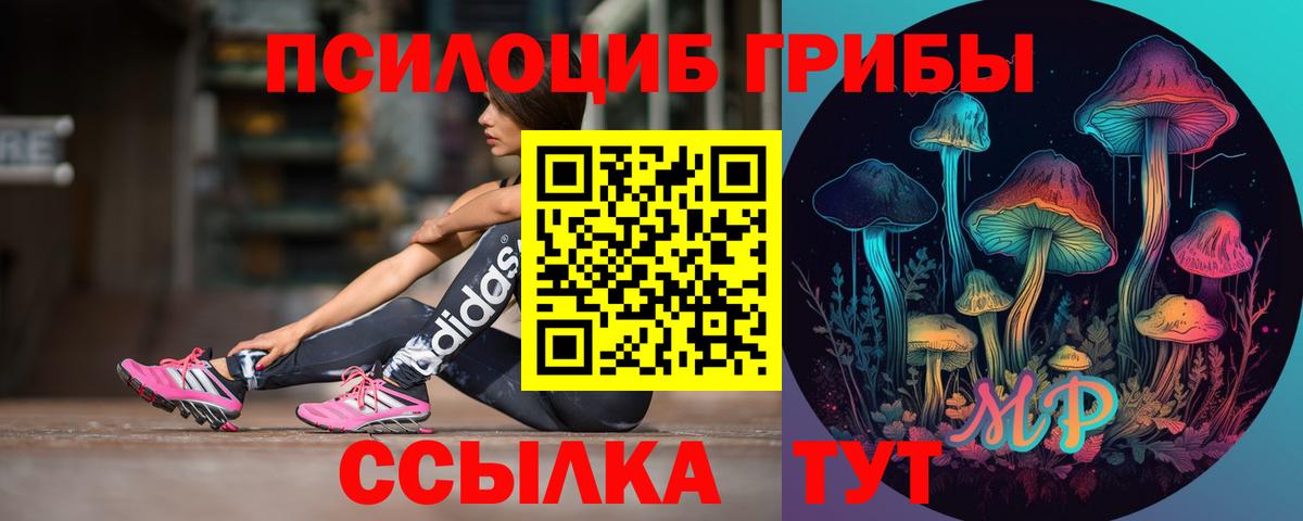Лесозаводск  Галлюциногенные грибы мухоморы  Вход с VPN  купить наркотики цена  Псилоцибиновые грибы GOLDEN TEACHER 